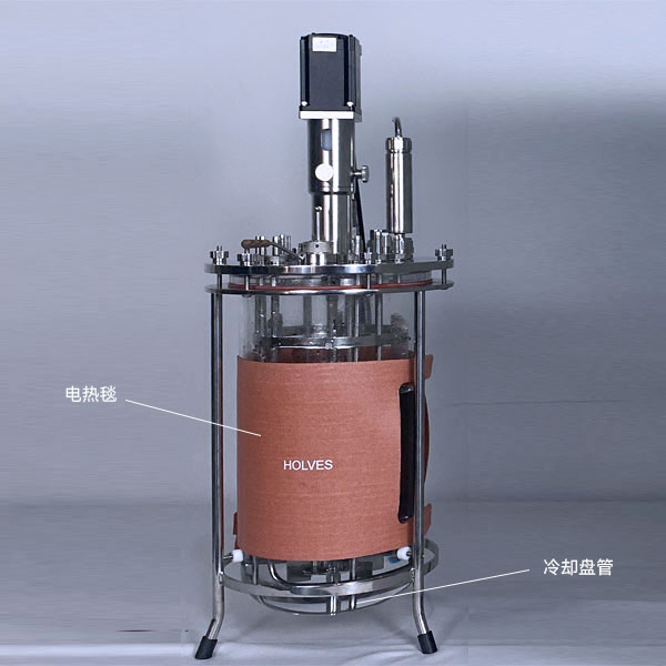 今年会（HOLVES）实验发酵罐