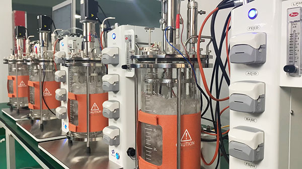 今年会发酵罐 今年会发酵罐