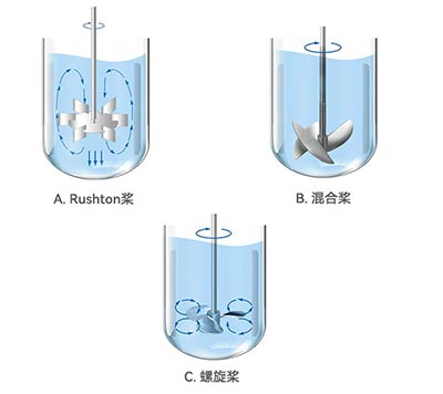 今年会发酵罐不同类型桨叶