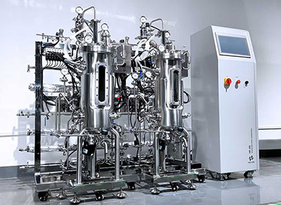 今年会发酵罐尾气处理